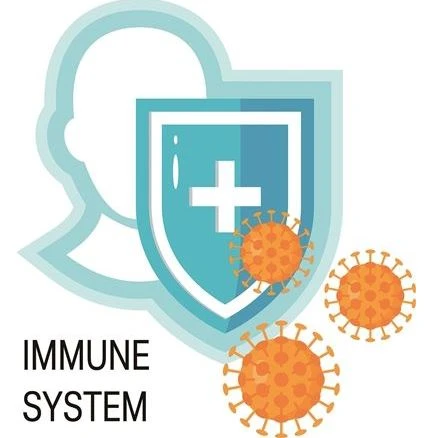 Plant extract that boosts immunity based on COVID-19 Plant extract that boosts immunity based on COVID-19